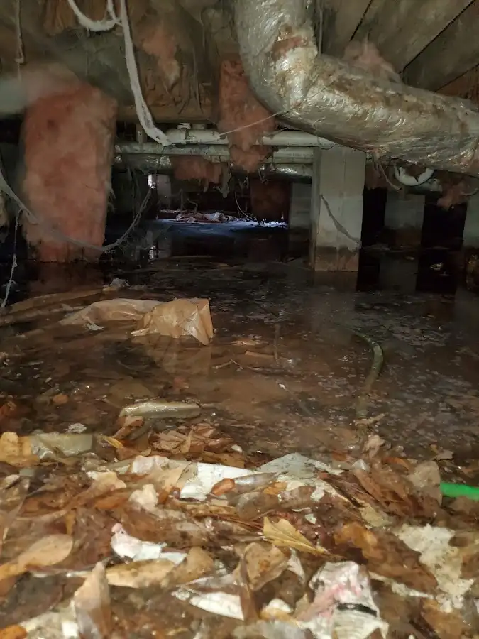 Crawl space flood assessment for Leak Detection & Repair in Keller