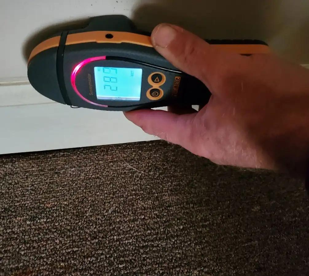 Moisture detection at baseboard during Mold Inspection & Testing in Keller